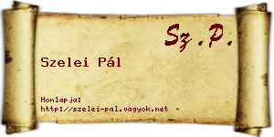 Szelei Pál névjegykártya